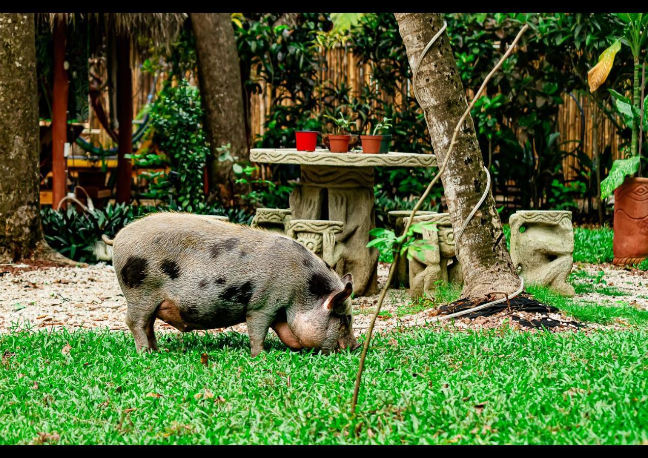 Villas Pura Vibra Potrero (Guanacaste) Exterior foto