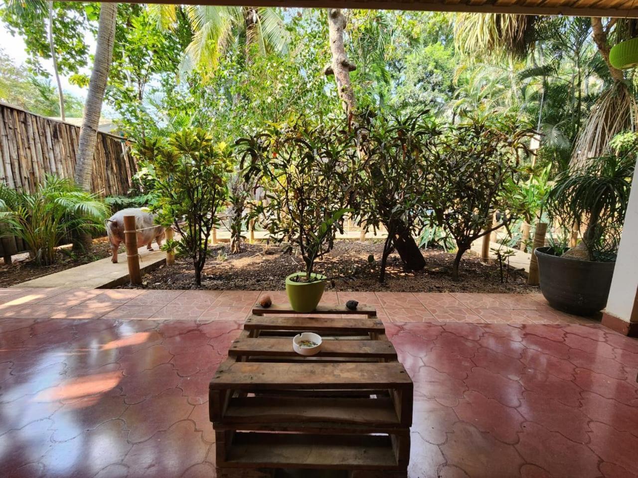 Villas Pura Vibra Potrero (Guanacaste) Exterior foto